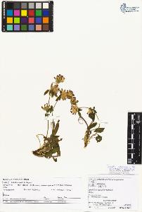 SW_BNB_s3070-01391_IMG-0000000001