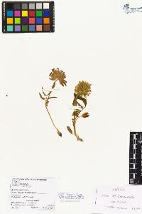 SW_BNB_s3070-01393_IMG-0000000001