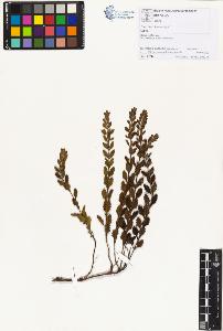 SW_BNB_s3070-01394_IMG-0000000001