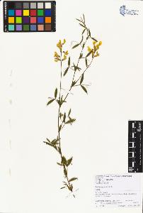 SW_BNB_s3070-01395_IMG-0000000001