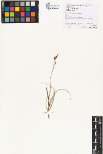 SW_BNB_s3070-01396_IMG-0000000001