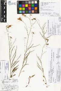 SW_BNB_s3070-01399_IMG-0000000001