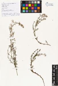 SW_BNB_s3070-01401_IMG-0000000001