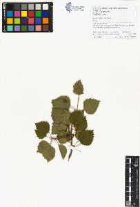 SW_BNB_s3070-01403_IMG-0000000001