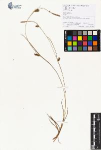 SW_BNB_s3070-01405_IMG-0000000001