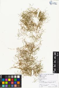 SW_BNB_s3070-01409_IMG-0000000001