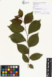 SW_BNB_s3070-01410_IMG-0000000001
