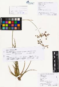 SW_BNB_s3070-01411_IMG-0000000001