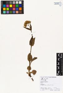 SW_BNB_s3070-01412_IMG-0000000001