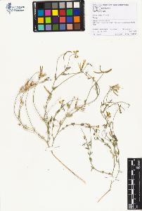 SW_BNB_s3070-01416_IMG-0000000001