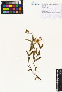 SW_BNB_s3070-01418_IMG-0000000001