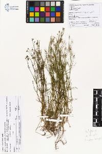 SW_BNB_s3070-01421_IMG-0000000001