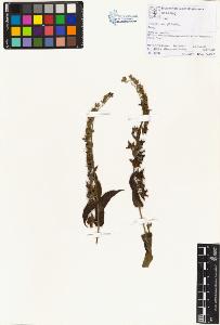 SW_BNB_s3070-01422_IMG-0000000001