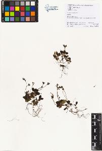 SW_BNB_s3070-01423_IMG-0000000001