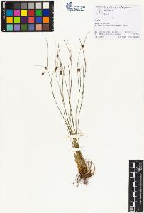 SW_BNB_s3070-01424_IMG-0000000001