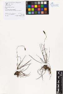 SW_BNB_s3070-01425_IMG-0000000001