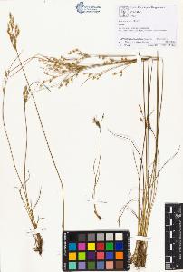 SW_BNB_s3070-01427_IMG-0000000001