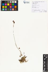 SW_BNB_s3070-01428_IMG-0000000001