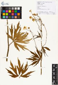 SW_BNB_s3070-01429_IMG-0000000001