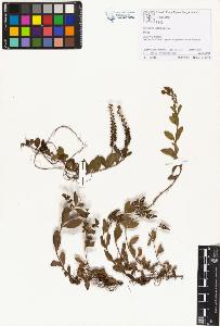 SW_BNB_s3070-01430_IMG-0000000001