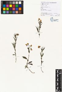 SW_BNB_s3070-01434_IMG-0000000001