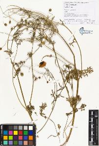 SW_BNB_s3070-01435_IMG-0000000001