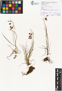 SW_BNB_s3070-01439_IMG-0000000001