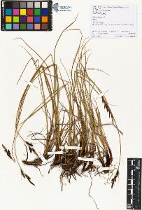 SW_BNB_s3070-01441_IMG-0000000001