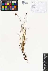 SW_BNB_s3070-01442_IMG-0000000001