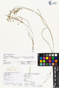 SW_BNB_s3070-01444_IMG-0000000001