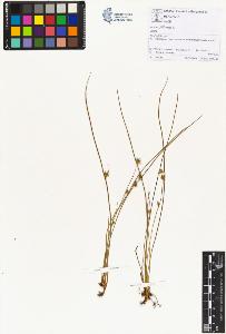 SW_BNB_s3070-01447_IMG-0000000001