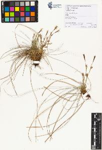 SW_BNB_s3070-01448_IMG-0000000001