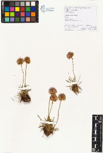 SW_BNB_s3070-01449_IMG-0000000001