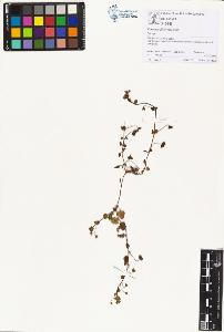 SW_BNB_s3070-01452_IMG-0000000001