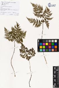 SW_BNB_s3070-01453_IMG-0000000001