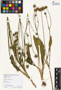 SW_BNB_s3070-01454_IMG-0000000001