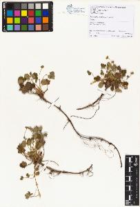 SW_BNB_s3070-01461_IMG-0000000001