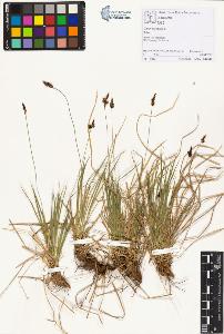 SW_BNB_s3070-01464_IMG-0000000001