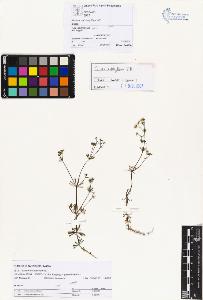 SW_BNB_s3070-01467_IMG-0000000001