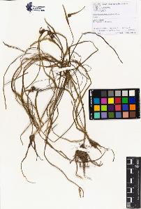 SW_BNB_s3070-01468_IMG-0000000001