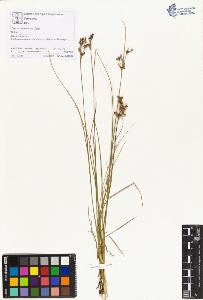 SW_BNB_s3070-01471_IMG-0000000001