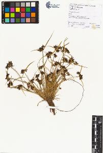 SW_BNB_s3070-01472_IMG-0000000001
