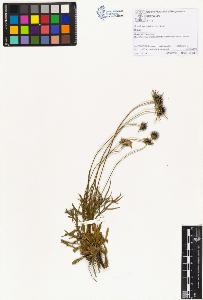 SW_BNB_s3070-01474_IMG-0000000001