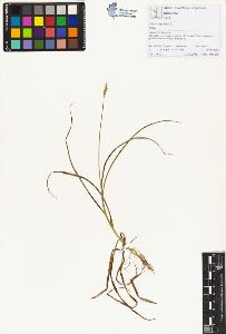 SW_BNB_s3070-01475_IMG-0000000001