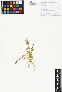 SW_BNB_s3070-01477_IMG-0000000001
