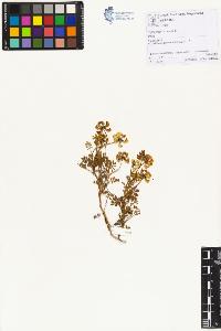 SW_BNB_s3070-01478_IMG-0000000001
