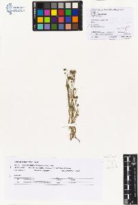 SW_BNB_s3070-01479_IMG-0000000001