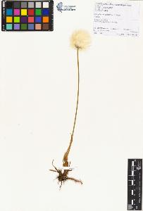 SW_BNB_s3070-01480_IMG-0000000001