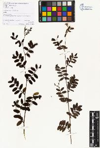 SW_BNB_s3070-01481_IMG-0000000001