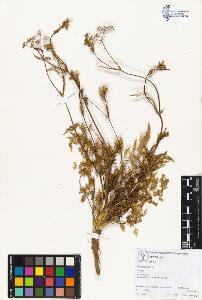 SW_BNB_s3070-01488_IMG-0000000001
